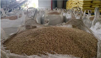 企業(yè)風(fēng)采丨荊州格力特生物科技 以質(zhì)興企，助力養(yǎng)殖業(yè)降本增效的生物飼料研發(fā)