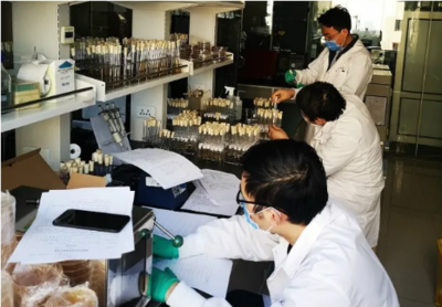 圖說2020 那些感動(dòng)中輕的難忘瞬間——生物飼料研發(fā)篇