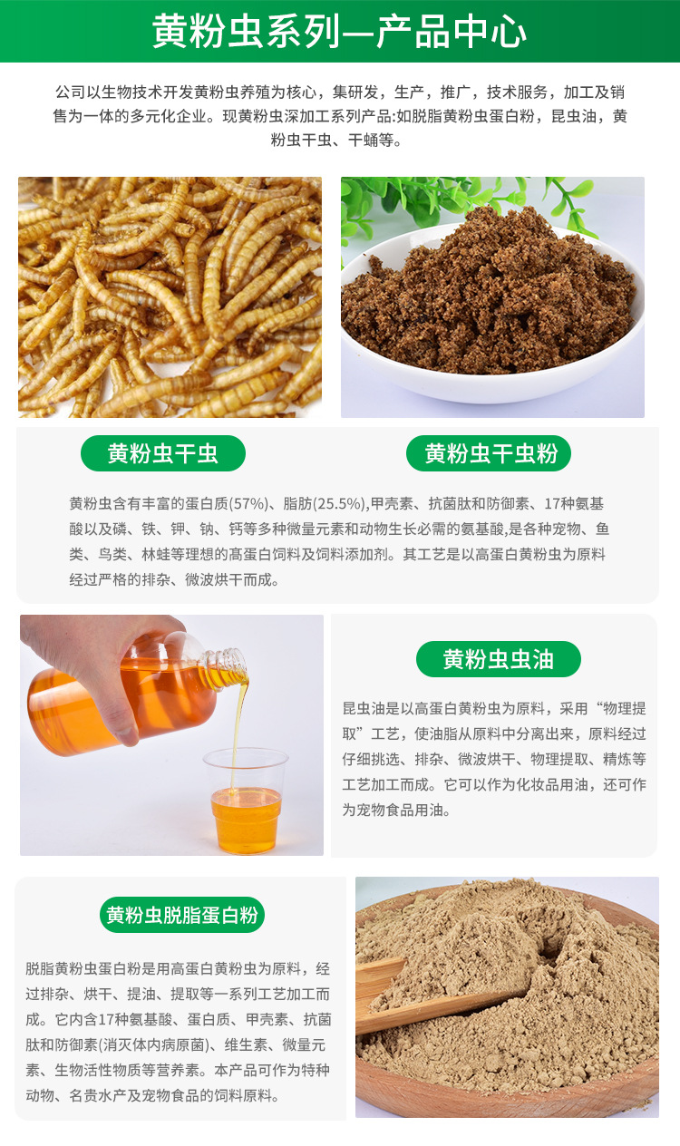 面包蟲干 小身材大營養(yǎng)，一站式全寵物營養(yǎng)解決方案