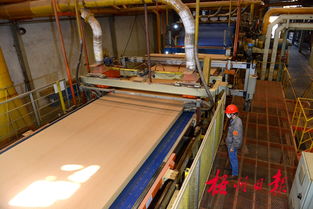 廣西三威林產(chǎn)工業(yè) 以創(chuàng)新研發(fā)驅(qū)動(dòng)產(chǎn)業(yè)升級，生物飼料產(chǎn)品引領(lǐng)綠色新賽道